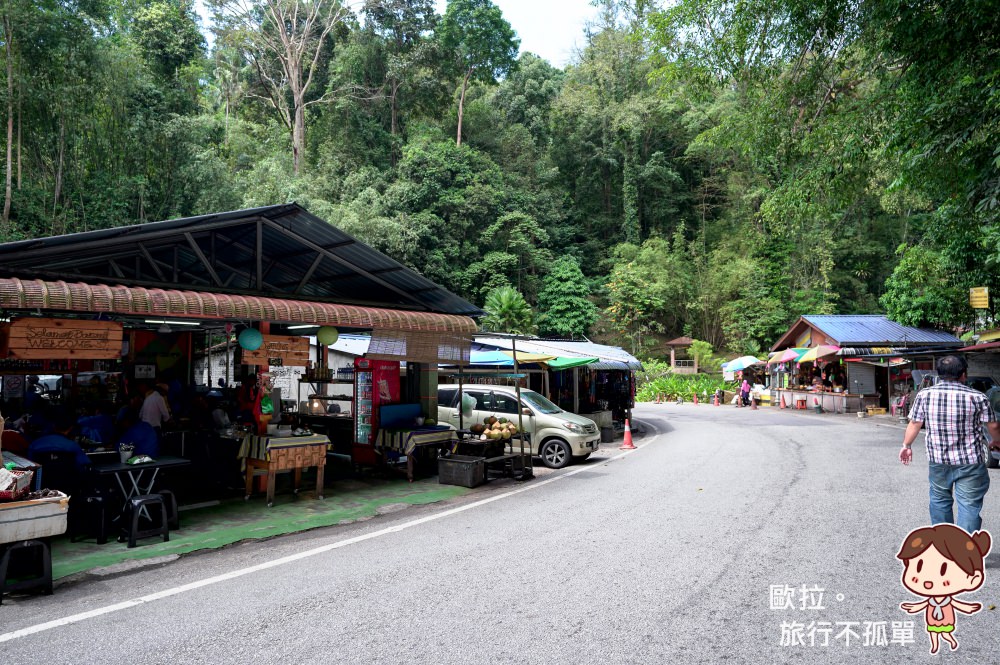 馬來西亞避暑勝地金馬崙高原景點、美食、住宿推薦(金馬倫高原、BOH茶園、草莓園、仙人掌、傳統市場、Cameron Highlands)