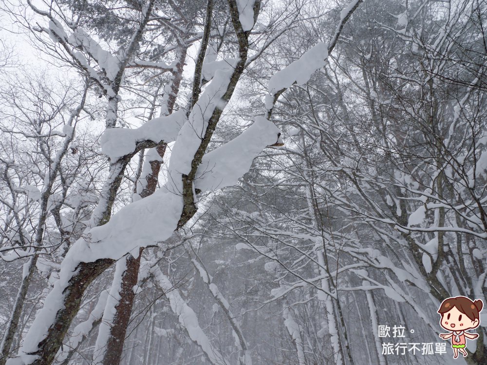 日本福島體驗｜五色沼雪中散策，不需自備裝備，還能享用天然雪剉冰( ナチュラルビズ 、naturalbiz、裏磐梯レイクリゾート)