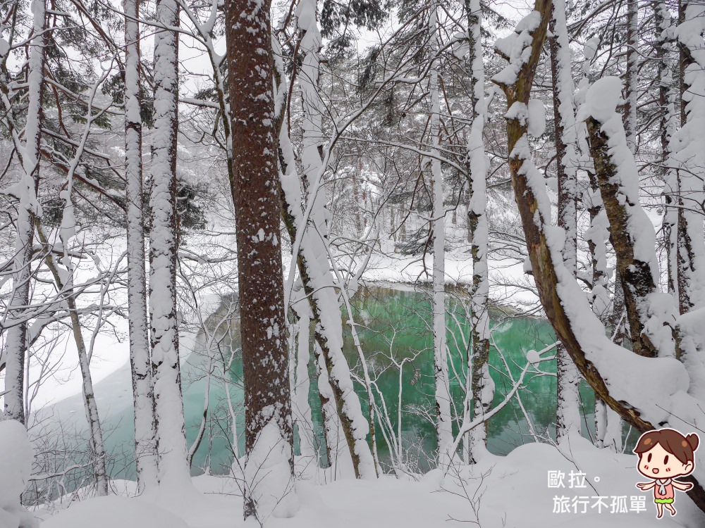 日本福島體驗｜五色沼雪中散策，不需自備裝備，還能享用天然雪剉冰( ナチュラルビズ 、naturalbiz、裏磐梯レイクリゾート)