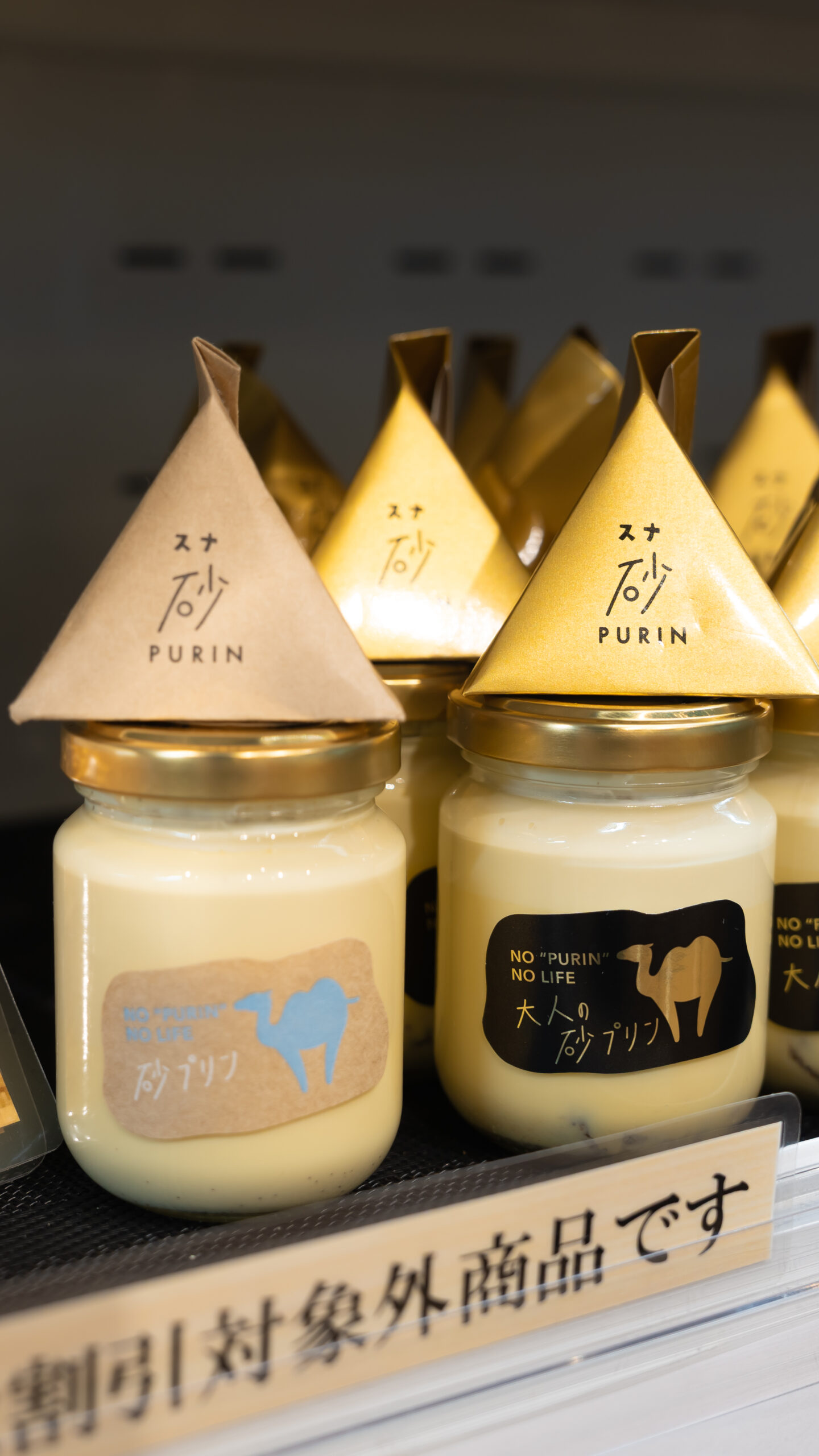 日本鳥取美食景點｜台灣虎航直飛米子機場交通接駁車班次&20個鳥取美食景點購物介紹(台灣鳥取直飛、台北桃園機場直飛米子鬼太郎空港、非鳥取柯南機場)