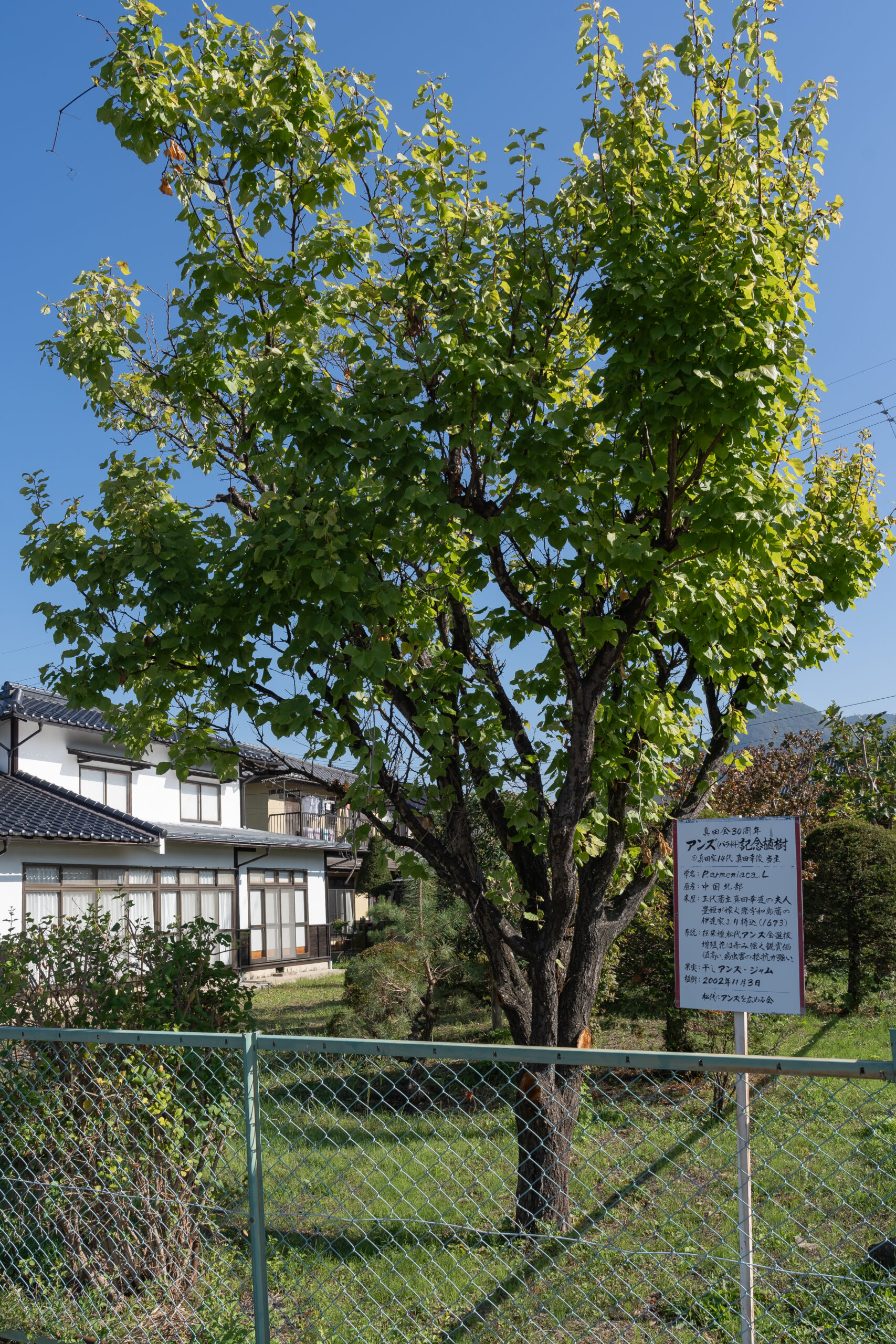 日本長野景點｜真田十代松代城下町散策、挑戰松代燒製陶體驗與享受ろくもん六文觀光列車主廚的美味宴席料理(真田邸、文武學校、松代陶苑、川中島古戰場史跡公園、割烹きたざわ、長野大都會飯店)