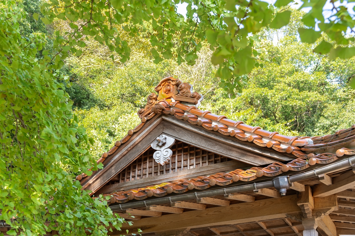 網站近期文章：日本鳥取紅葉景點｜鳥取市紅葉秘境600歲仁王堂大銀杏，樹體挺拔高達30公尺！(西御門仁王堂の大イチョウ、公孫樹)