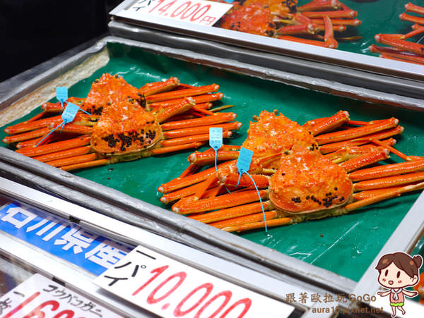 日本金澤景點｜近江町市場加能蟹解禁期！金澤市民的廚房，各式新鮮海鮮、漁獲、蔬果應有盡有 @歐拉。旅行不孤單