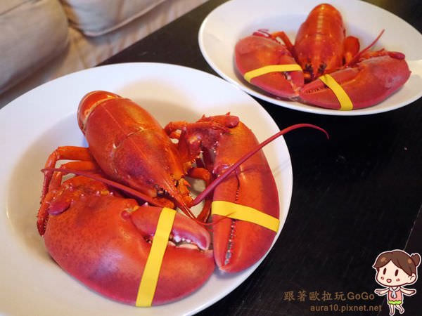 美國波士頓美食｜波士頓龍蝦食譜自己煮簡單又便宜，超市購買龍蝦Boston Lobsters @歐拉。旅行不孤單