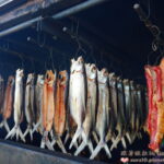 延伸閱讀：花蓮豐濱景點｜升火伊娜現烤飛魚，月桃煙燻飛魚(台11線海岸線)