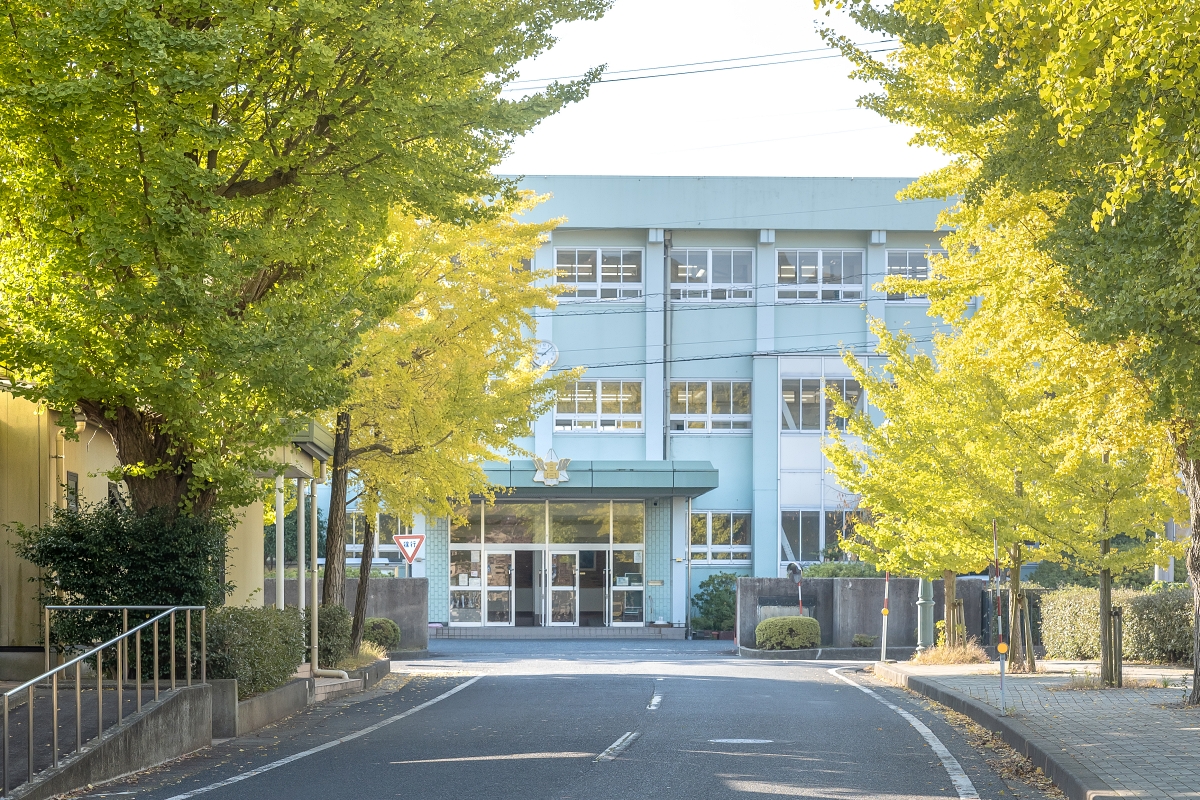 網站近期文章：日本鳥取紅葉景點｜鳥取市紅葉秘境鳥取東高校銀杏並木，趁還沒有什麼人知道趕快來！春天也可以賞櫻！ (鳥取銀杏秘境県立鳥取東高等学校)