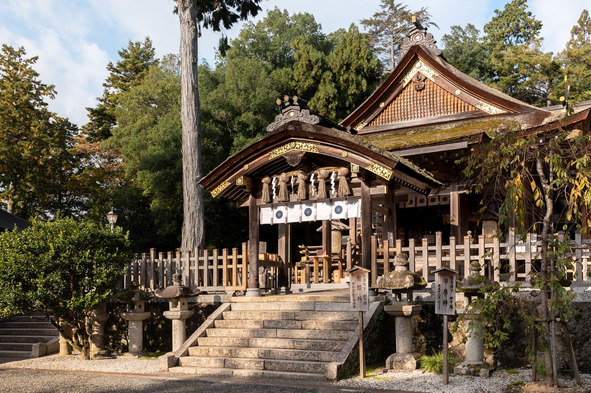 延伸閱讀：日本鳥取紅葉景點｜宇倍神社首座印在日本紙鈔上的神社，求財求長壽也能賞紅葉！