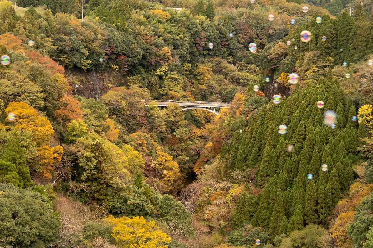 日本宮崎景點｜高千穗小火車創意巧思+山林美景譜出30分鐘夢幻體驗！滿載當地人生活回憶的高千穗線，廢線後從無力回天翻身成熱門觀光列車，再度為當地注入活力！(高千穂あまてらす鉄道、高千穗天照大神鐵道)