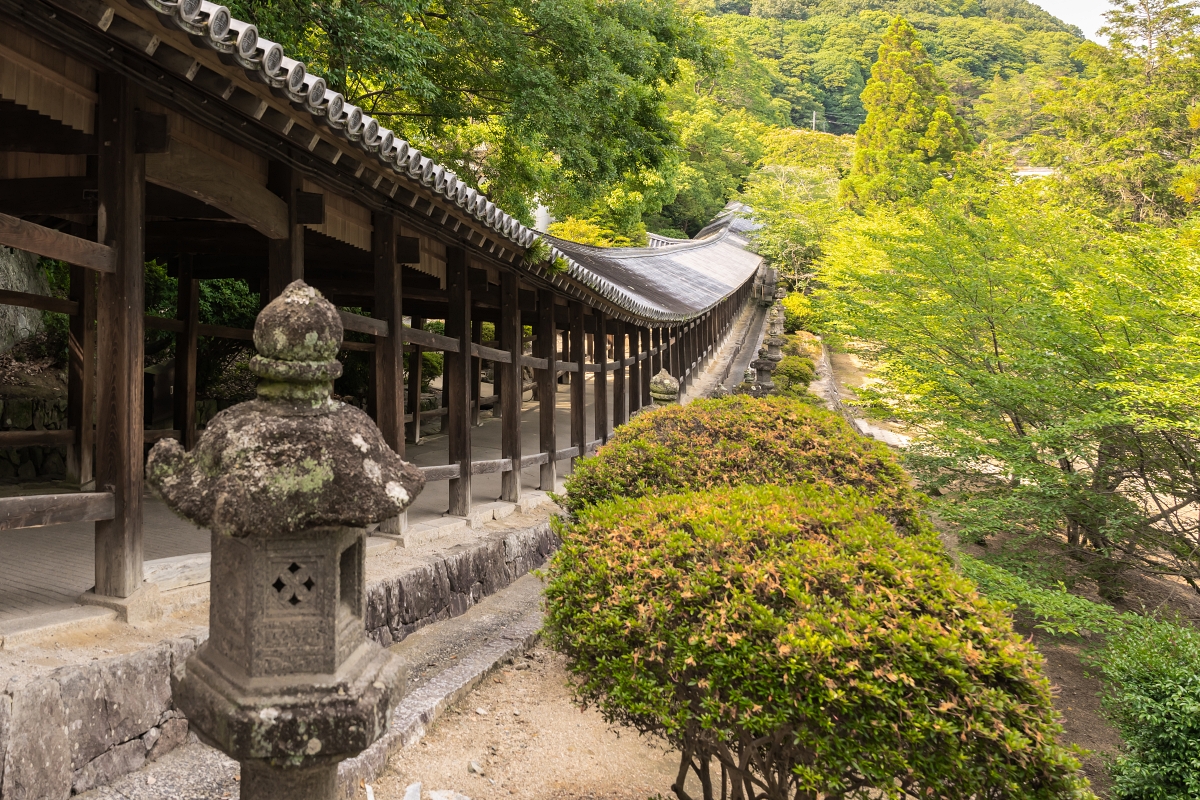 日本岡山景點｜岡山白桃季體驗採收樂趣，走訪岡山市人氣話題美食名店！岡山自駕租車限時優惠符合資格再抽好禮！