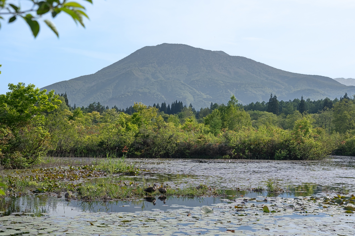 日本新潟美食景點｜妙高戶隱連山國立公園與自然同遊苗名瀑布、井守池，入住療癒與美肌兼具的百年赤倉溫泉(いもり池、岡山旅館、旅館おかやま)