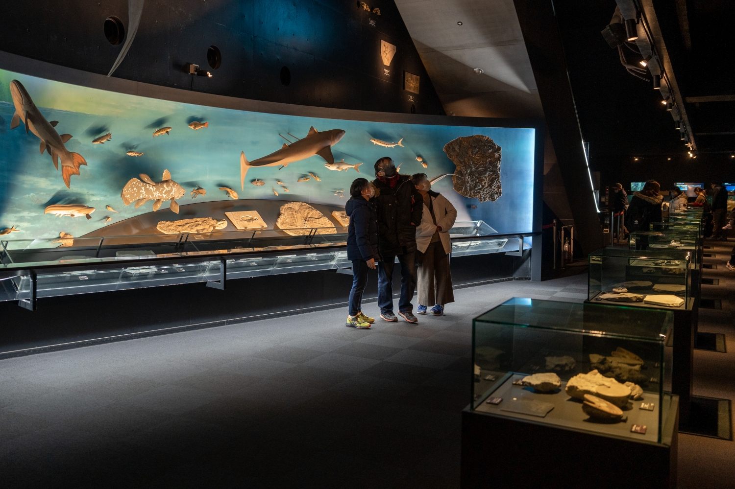 福島景點｜福島環境水族館夢幻三角海底隧道重現海潮分界，自然環境教育體驗型水族館。