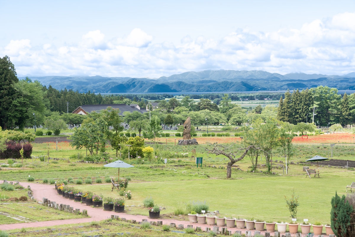 日本福島景點｜豬苗代花草園季節限定夢幻花田與新話題設施Umbrella Sky讓你網美照輕鬆入袋！(猪苗代ハーブ園)