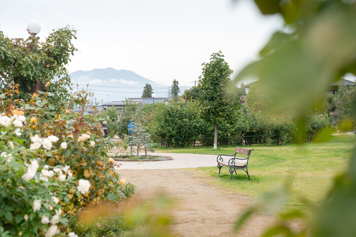 日本長野美食景點｜中野市採果體驗驚人發現！吃蘋果長大的信州牛壽喜燒甜嫩又超值！(信州Fruit Land、福田屋、CHÂTERAISÉ HOTEL長野、お寺カフェ寺粥御膳)