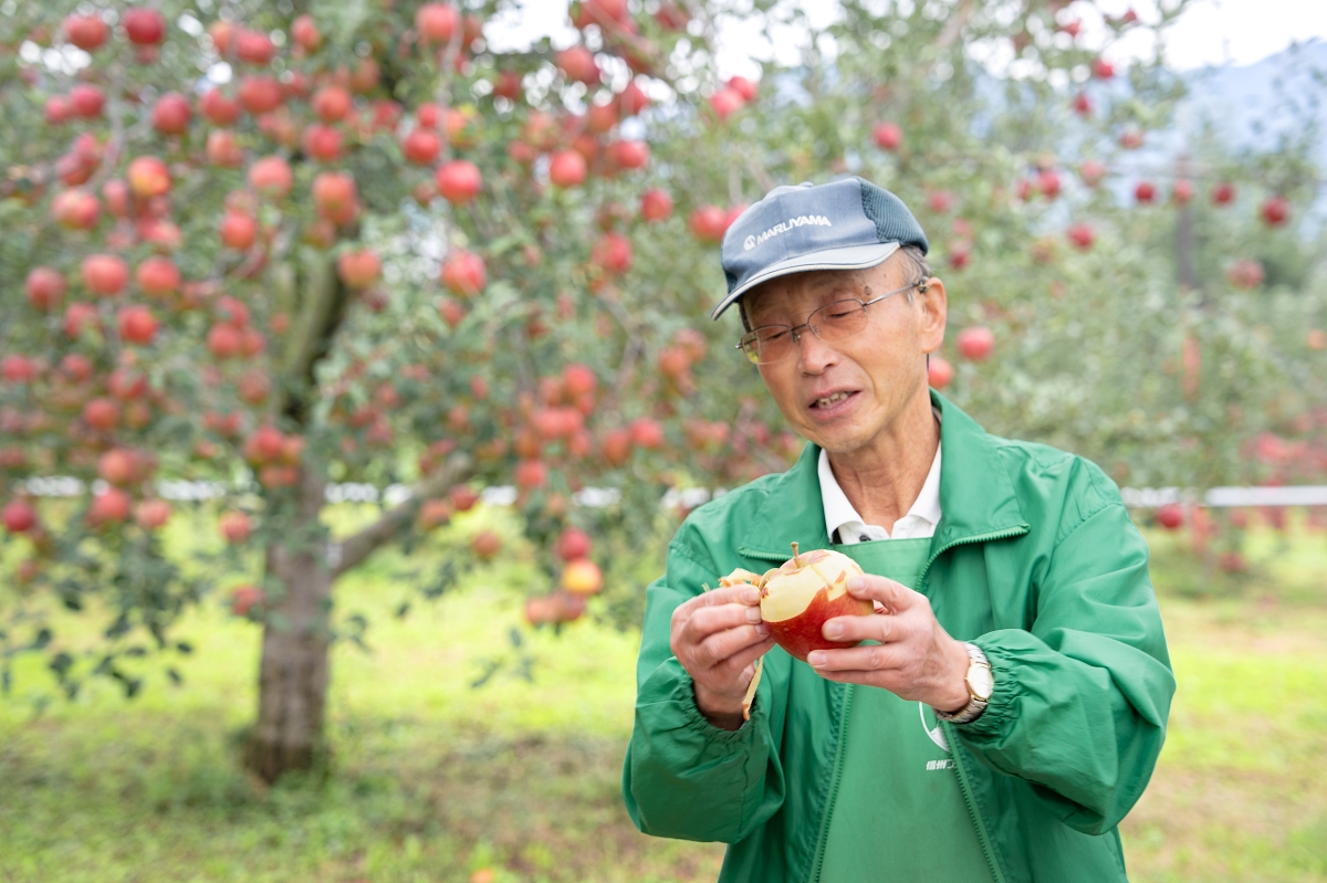 日本長野美食景點｜中野市採果體驗驚人發現！吃蘋果長大的信州牛壽喜燒甜嫩又超值！(信州Fruit Land、福田屋、CHÂTERAISÉ HOTEL長野、お寺カフェ寺粥御膳)