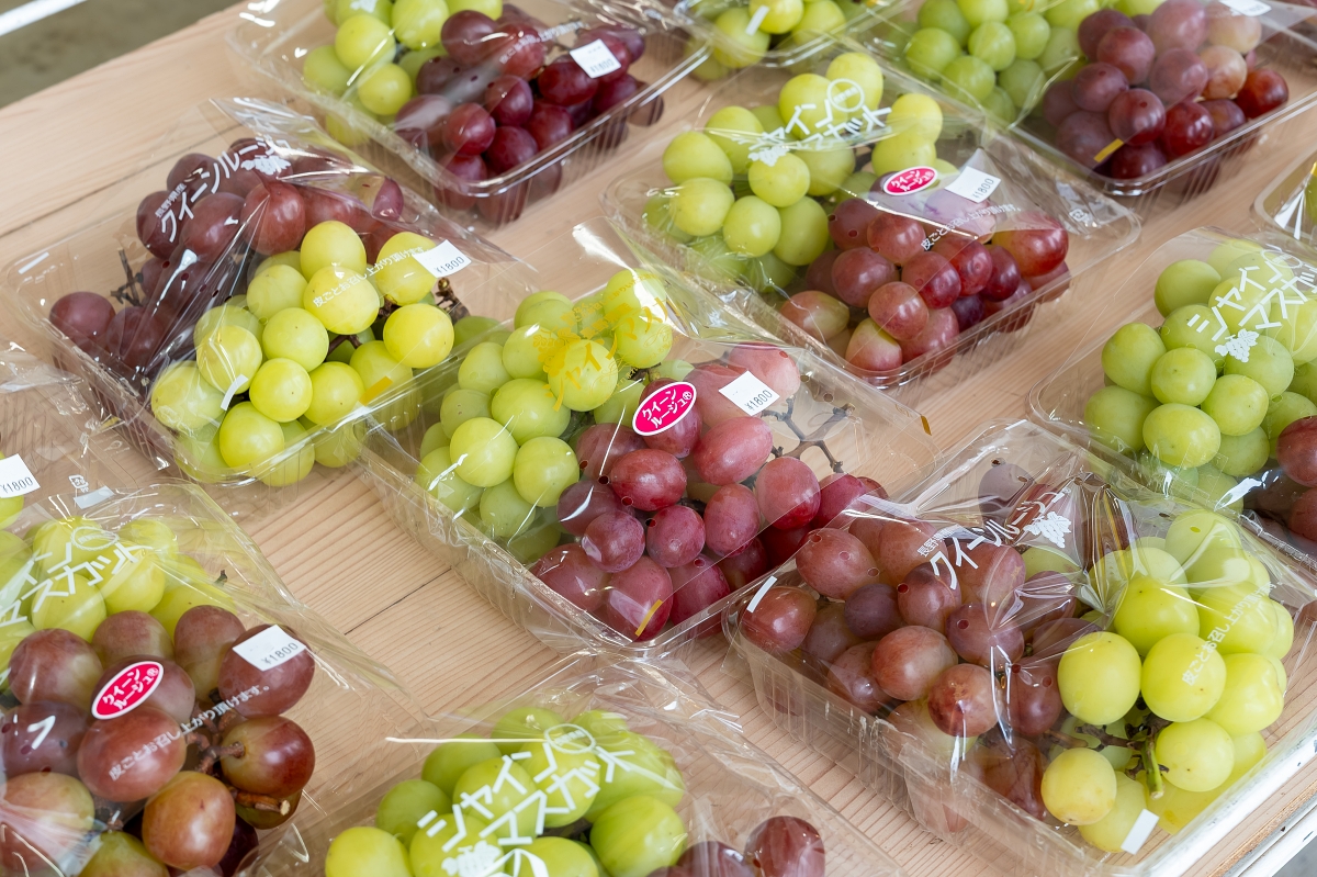 日本長野美食景點｜中野市採果體驗驚人發現！吃蘋果長大的信州牛壽喜燒甜嫩又超值！(信州Fruit Land、福田屋、CHÂTERAISÉ HOTEL長野、お寺カフェ寺粥御膳)