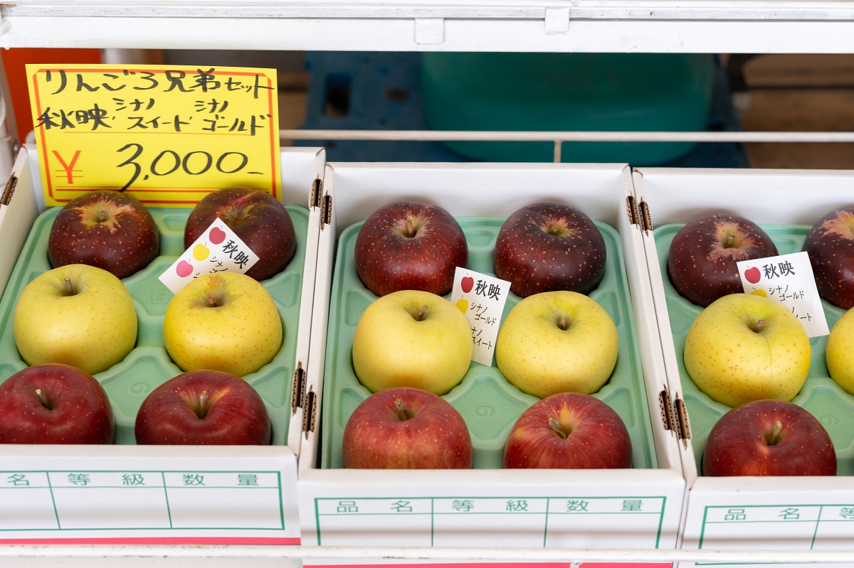 日本長野美食景點｜中野市採果體驗驚人發現！吃蘋果長大的信州牛壽喜燒甜嫩又超值！(信州Fruit Land、福田屋、CHÂTERAISÉ HOTEL長野、お寺カフェ寺粥御膳)