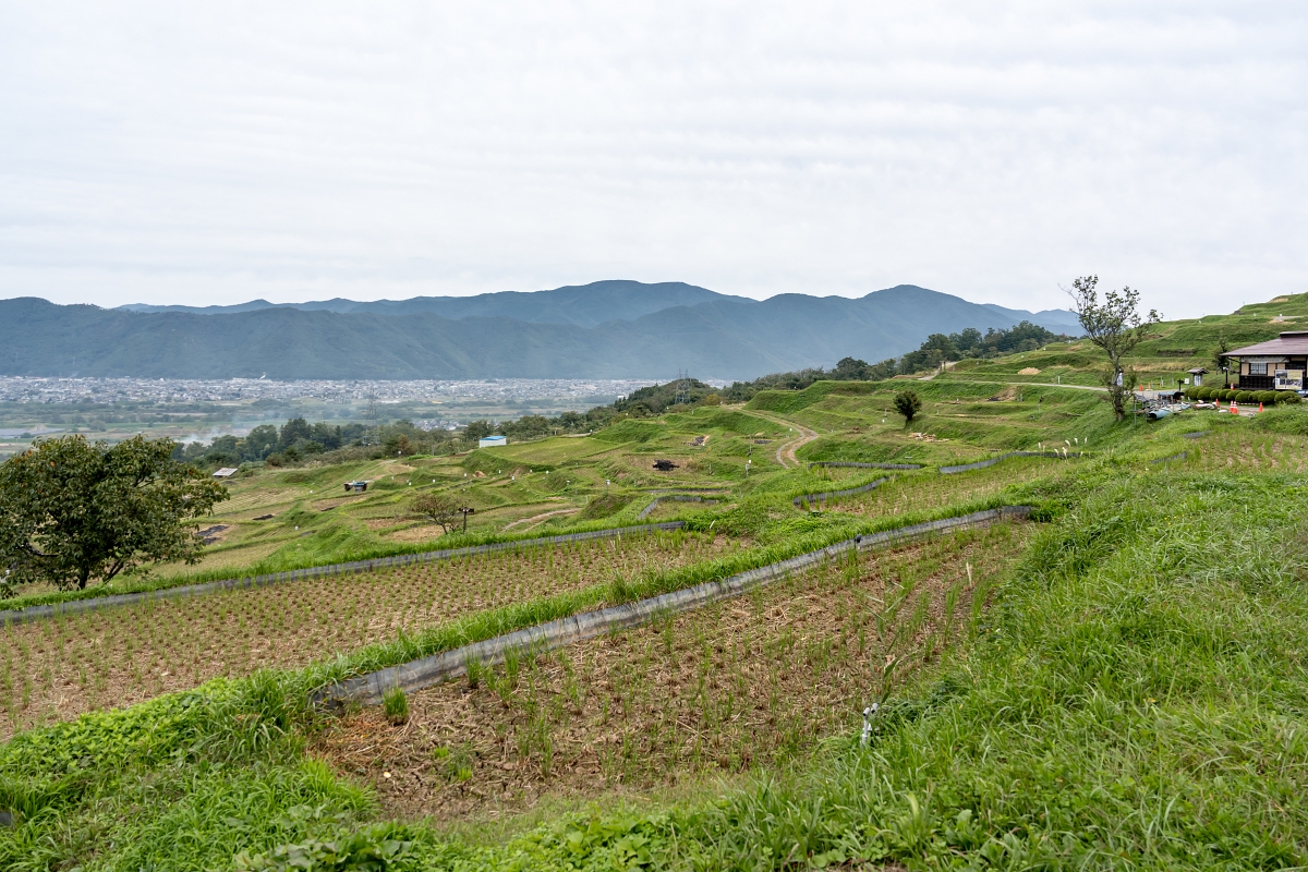 日本長野景點｜千曲市森將軍塚古墳與姨捨梯田風景壯麗，夜宿美肌之湯戶倉上山田溫泉，體驗溫泉街與特色小酒館魅力！(圓山莊、スナック)