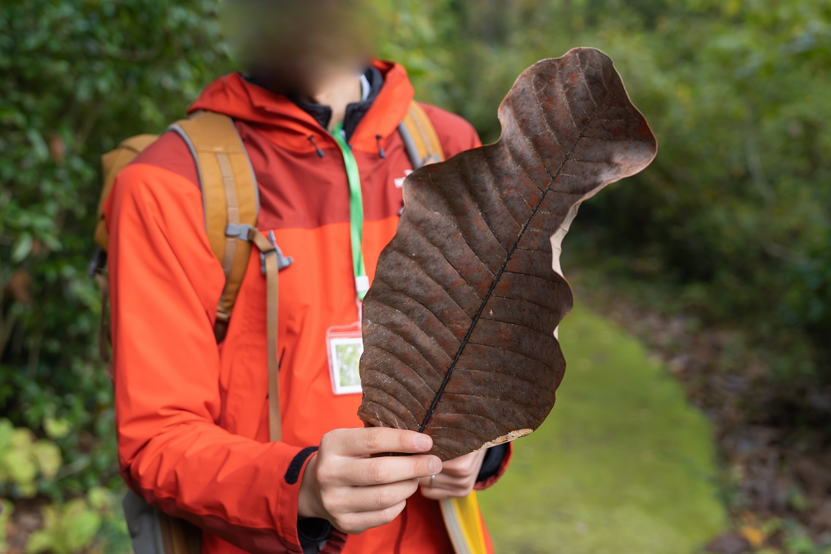 日本長野美食景點|騎乘腳踏車暢遊飯山市區,體驗療癒山林入住童話般的森林小木屋(鍋倉高原森之家、信越自然鄉活動中心、塩崎農園、正受庵、高橋まゆみ人形館、パイパティローマ) 日本長野美食景點|騎乘腳踏車暢遊飯山市區,體驗療癒山林入住童話般的森林小木屋(鍋倉高原森之家、信越自然鄉活動中心、塩崎農園、正受庵、高橋まゆみ人形館、パイパティローマ)
