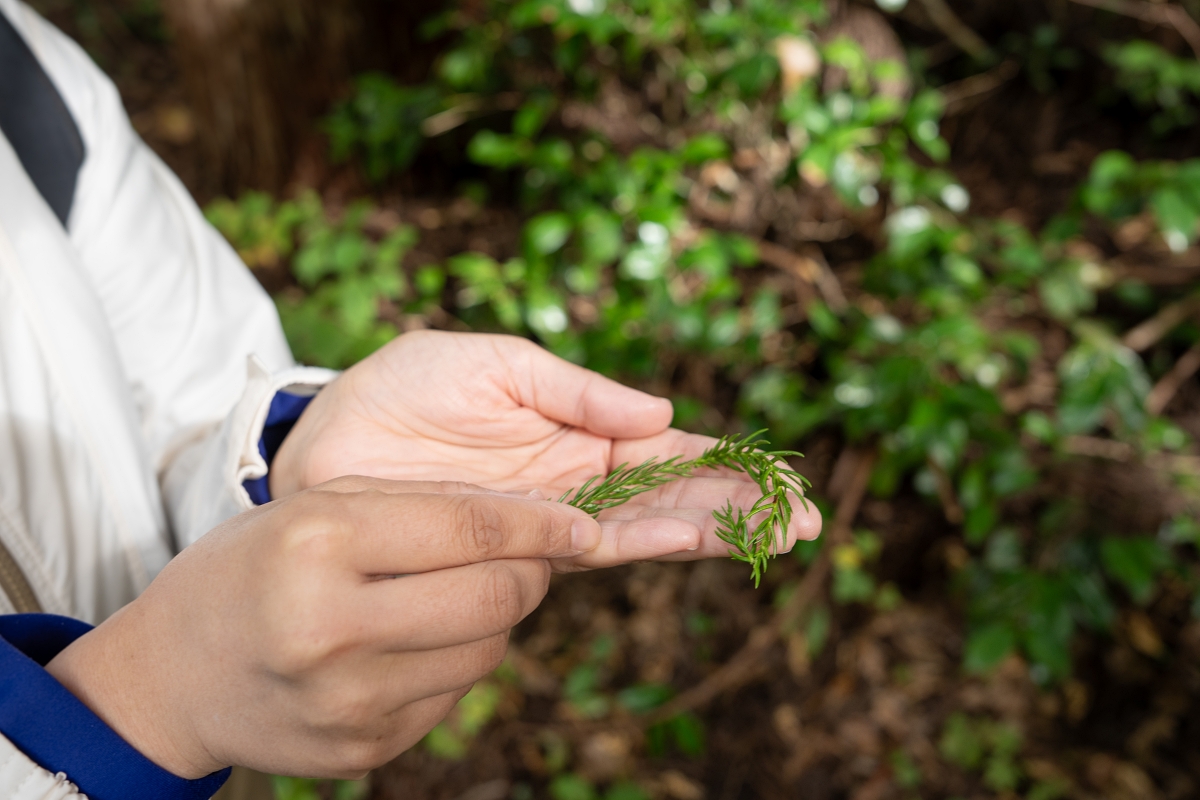 日本長野美食景點|騎乘腳踏車暢遊飯山市區,體驗療癒山林入住童話般的森林小木屋(鍋倉高原森之家、信越自然鄉活動中心、塩崎農園、正受庵、高橋まゆみ人形館、パイパティローマ) 日本長野美食景點|騎乘腳踏車暢遊飯山市區,體驗療癒山林入住童話般的森林小木屋(鍋倉高原森之家、信越自然鄉活動中心、塩崎農園、正受庵、高橋まゆみ人形館、パイパティローマ)