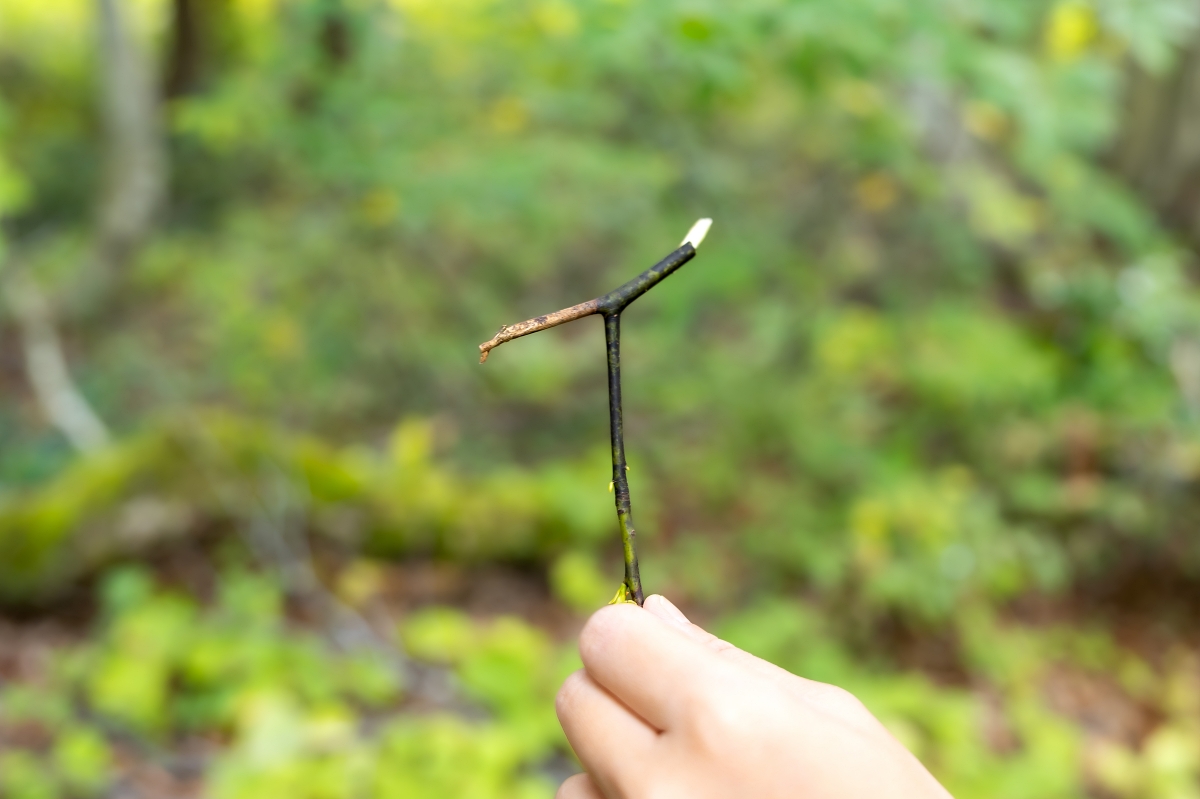 日本長野美食景點|騎乘腳踏車暢遊飯山市區,體驗療癒山林入住童話般的森林小木屋(鍋倉高原森之家、信越自然鄉活動中心、塩崎農園、正受庵、高橋まゆみ人形館、パイパティローマ) 日本長野美食景點|騎乘腳踏車暢遊飯山市區,體驗療癒山林入住童話般的森林小木屋(鍋倉高原森之家、信越自然鄉活動中心、塩崎農園、正受庵、高橋まゆみ人形館、パイパティローマ)