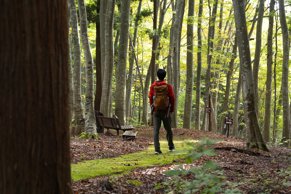 日本長野美食景點|騎乘腳踏車暢遊飯山市區,體驗療癒山林入住童話般的森林小木屋(鍋倉高原森之家、信越自然鄉活動中心、塩崎農園、正受庵、高橋まゆみ人形館、パイパティローマ) 日本長野美食景點|騎乘腳踏車暢遊飯山市區,體驗療癒山林入住童話般的森林小木屋(鍋倉高原森之家、信越自然鄉活動中心、塩崎農園、正受庵、高橋まゆみ人形館、パイパティローマ)