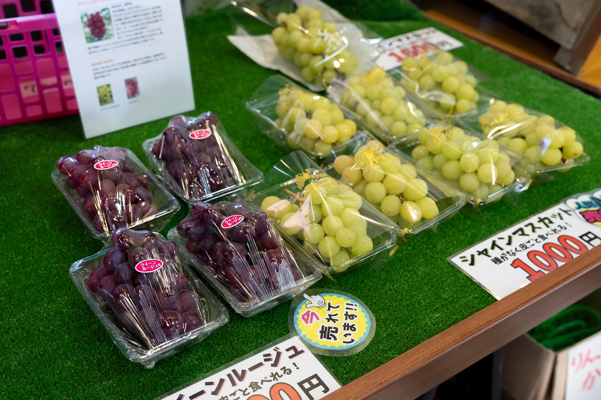 日本長野美食景點|騎乘腳踏車暢遊飯山市區,體驗療癒山林入住童話般的森林小木屋(鍋倉高原森之家、信越自然鄉活動中心、塩崎農園、正受庵、高橋まゆみ人形館、パイパティローマ) 日本長野美食景點|騎乘腳踏車暢遊飯山市區,體驗療癒山林入住童話般的森林小木屋(鍋倉高原森之家、信越自然鄉活動中心、塩崎農園、正受庵、高橋まゆみ人形館、パイパティローマ)