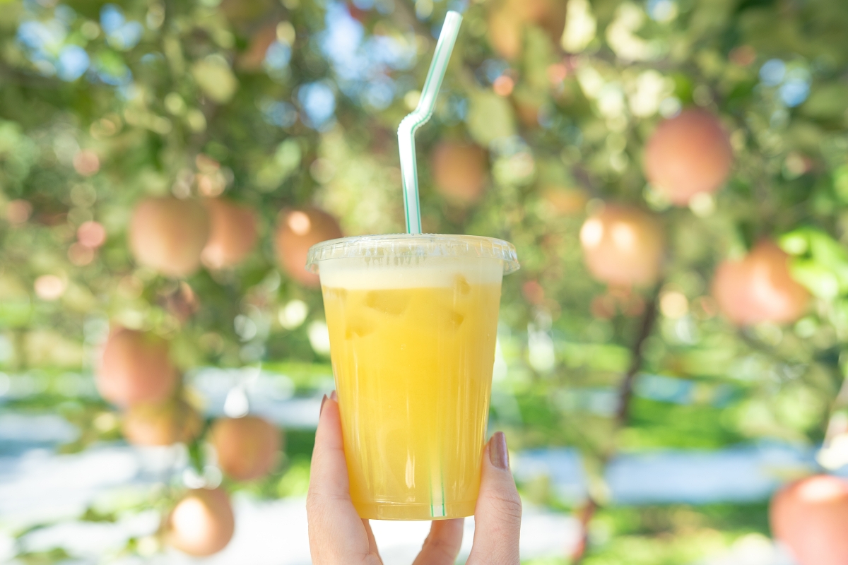 日本長野美食景點|騎乘腳踏車暢遊飯山市區,體驗療癒山林入住童話般的森林小木屋(鍋倉高原森之家、信越自然鄉活動中心、塩崎農園、正受庵、高橋まゆみ人形館、パイパティローマ) 日本長野美食景點|騎乘腳踏車暢遊飯山市區,體驗療癒山林入住童話般的森林小木屋(鍋倉高原森之家、信越自然鄉活動中心、塩崎農園、正受庵、高橋まゆみ人形館、パイパティローマ)