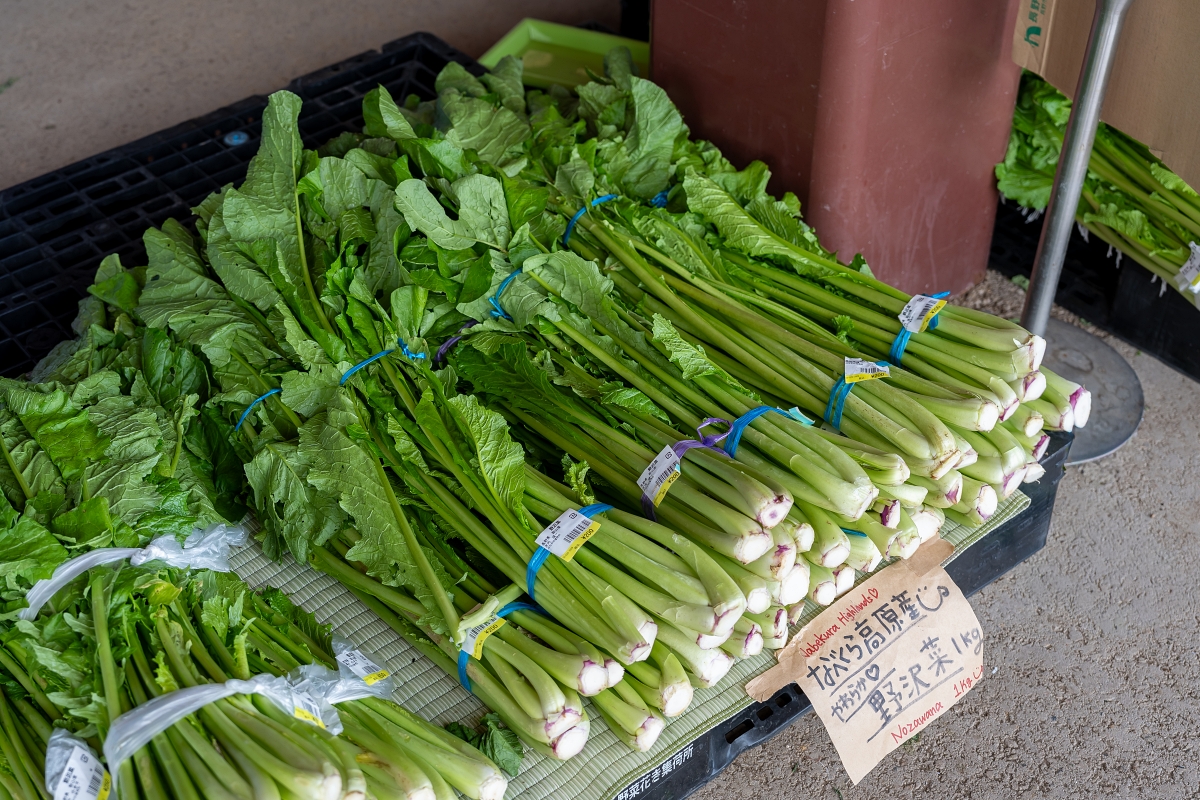 日本長野美食景點|騎乘腳踏車暢遊飯山市區,體驗療癒山林入住童話般的森林小木屋(鍋倉高原森之家、信越自然鄉活動中心、塩崎農園、正受庵、高橋まゆみ人形館、パイパティローマ) 日本長野美食景點|騎乘腳踏車暢遊飯山市區,體驗療癒山林入住童話般的森林小木屋(鍋倉高原森之家、信越自然鄉活動中心、塩崎農園、正受庵、高橋まゆみ人形館、パイパティローマ)