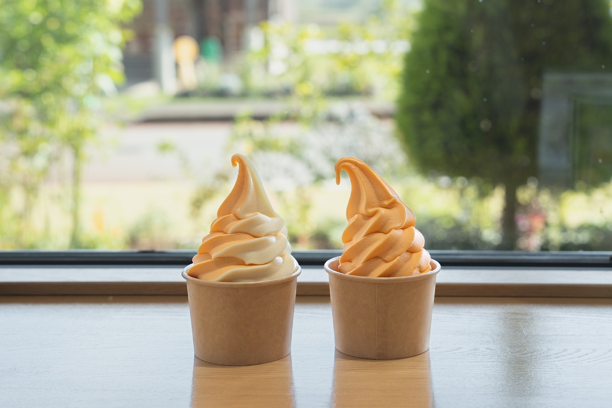 日本長野美食景點|騎乘腳踏車暢遊飯山市區,體驗療癒山林入住童話般的森林小木屋(鍋倉高原森之家、信越自然鄉活動中心、塩崎農園、正受庵、高橋まゆみ人形館、パイパティローマ) 日本長野美食景點|騎乘腳踏車暢遊飯山市區,體驗療癒山林入住童話般的森林小木屋(鍋倉高原森之家、信越自然鄉活動中心、塩崎農園、正受庵、高橋まゆみ人形館、パイパティローマ)