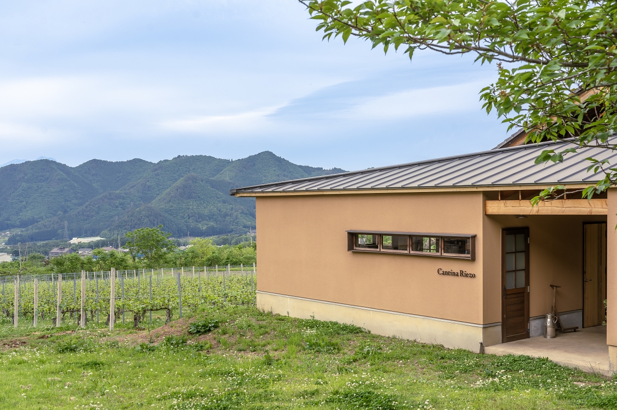 日本長野美食景點｜Cantina Riezo手工精釀專屬高山村特色葡萄酒，靜享信州高山溫泉鄉恬適時光 (蕨溫泉 旅館 わらび野)