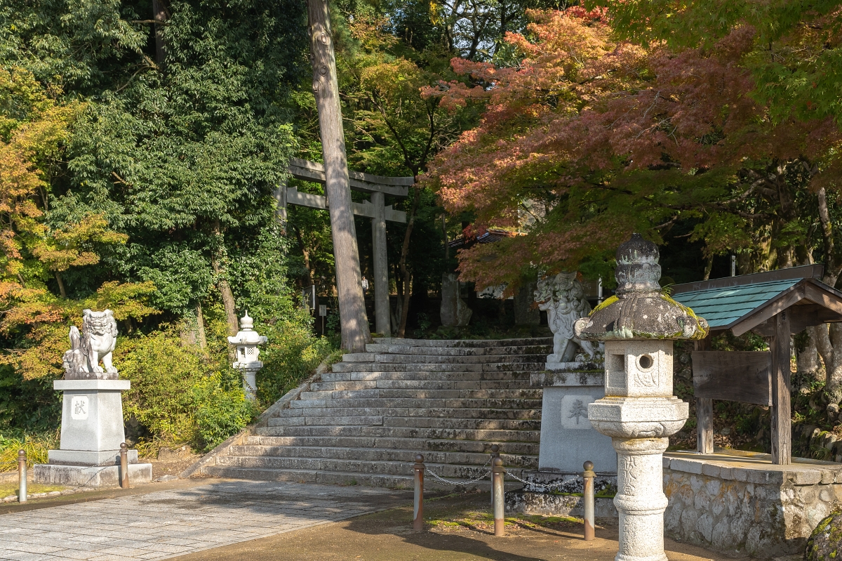 日本鳥取紅葉景點｜宇倍神社首座印在日本紙鈔上的神社，求財求長壽也能賞紅葉！