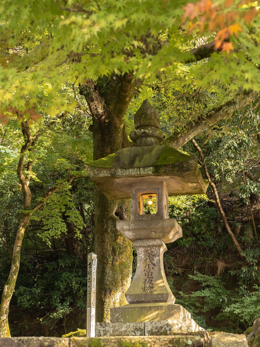 日本鳥取紅葉景點｜宇倍神社首座印在日本紙鈔上的神社，求財求長壽也能賞紅葉！