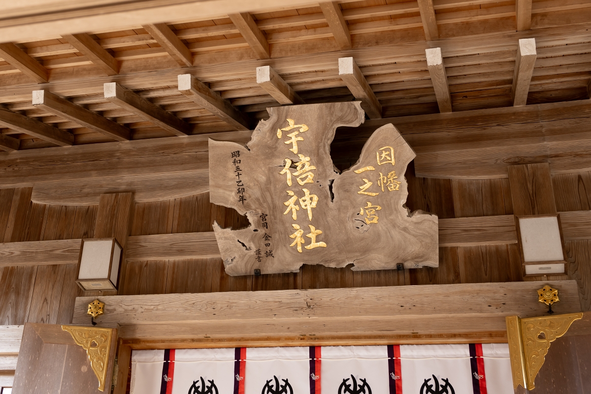 日本鳥取紅葉景點｜宇倍神社首座印在日本紙鈔上的神社，求財求長壽也能賞紅葉！