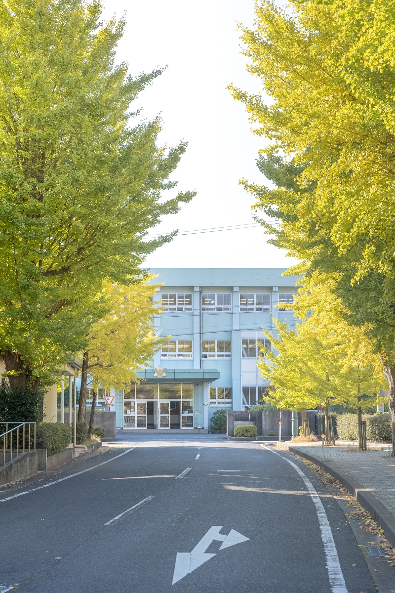 日本鳥取紅葉景點｜鳥取市紅葉秘境鳥取東高校銀杏並木，趁還沒有什麼人知道趕快來！春天也可以賞櫻！ (鳥取銀杏秘境県立鳥取東高等学校)