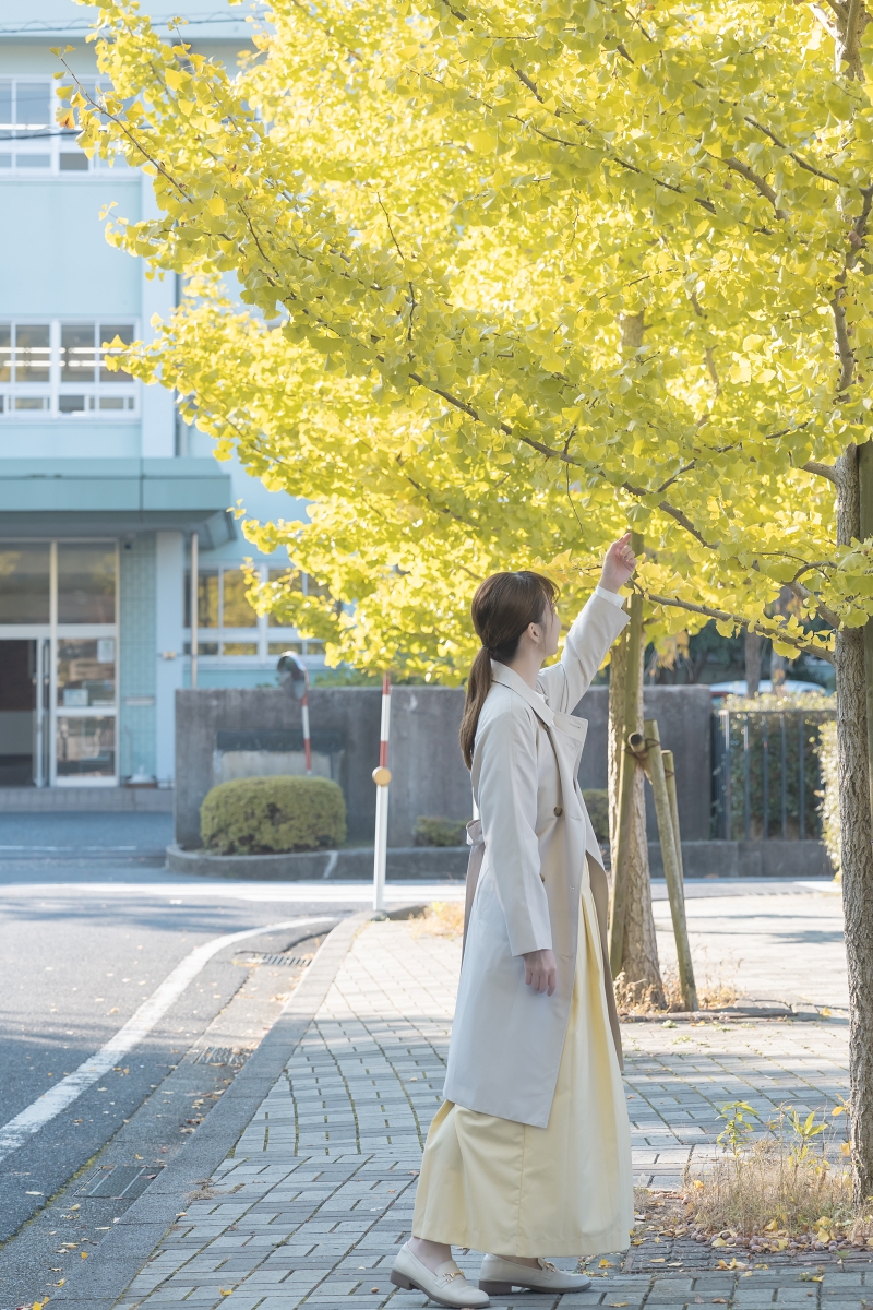 日本鳥取紅葉景點｜鳥取市紅葉秘境鳥取東高校銀杏並木，趁還沒有什麼人知道趕快來！春天也可以賞櫻！ (鳥取銀杏秘境県立鳥取東高等学校)