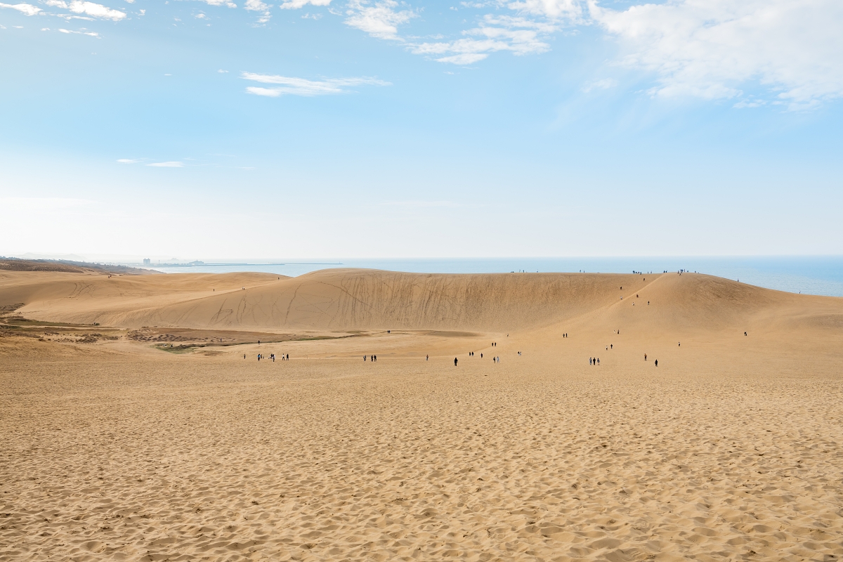 日本鳥取景點｜鳥取砂丘日本最大觀光沙丘，壯闊沙漠風情與無敵海景盡收眼底！