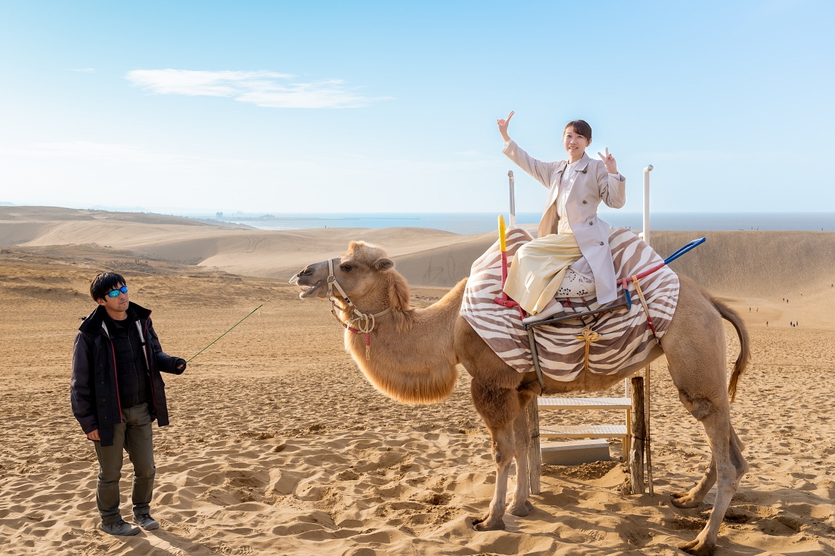 日本鳥取景點｜鳥取砂丘日本最大觀光沙丘，壯闊沙漠風情與無敵海景盡收眼底！