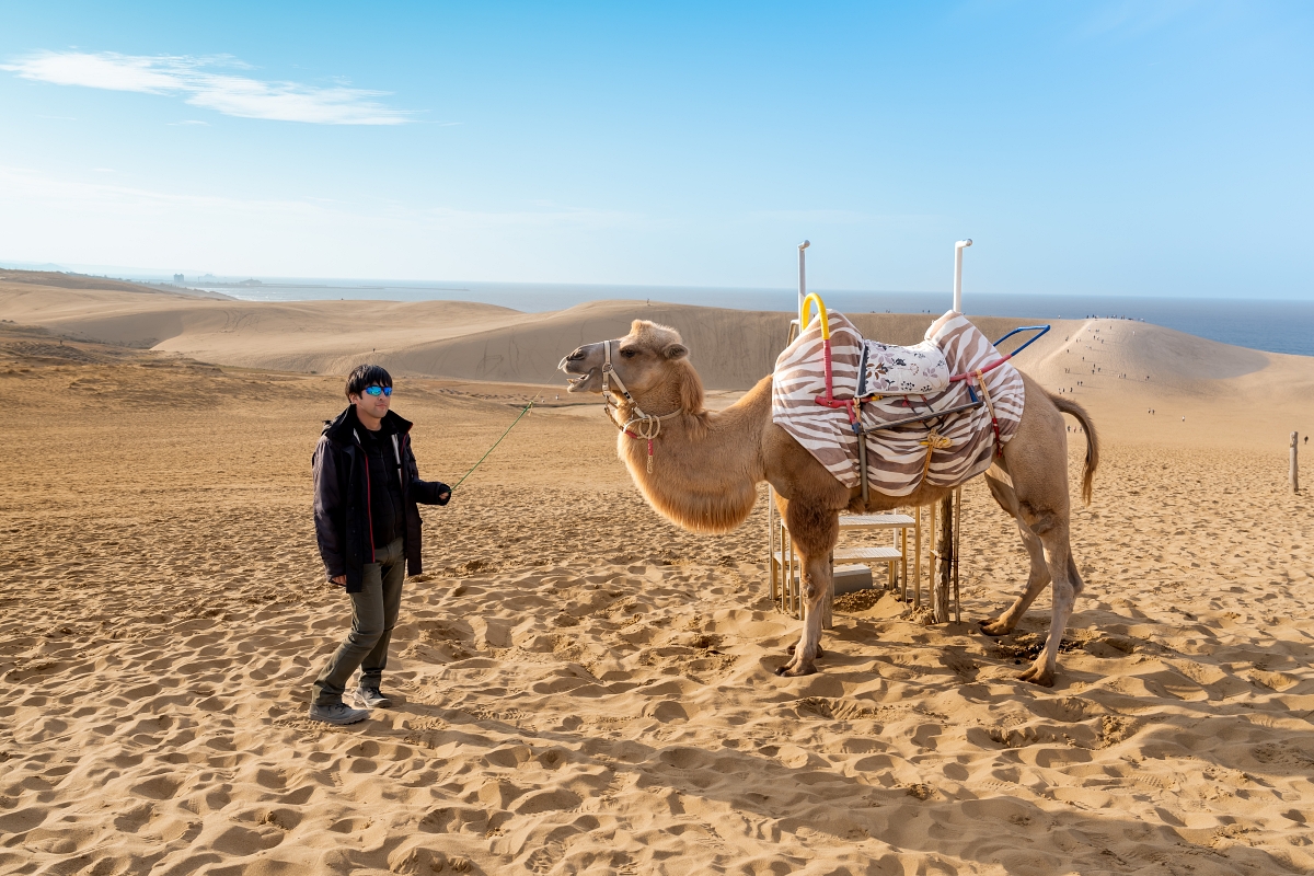 日本鳥取景點｜鳥取砂丘日本最大觀光沙丘，壯闊沙漠風情與無敵海景盡收眼底！