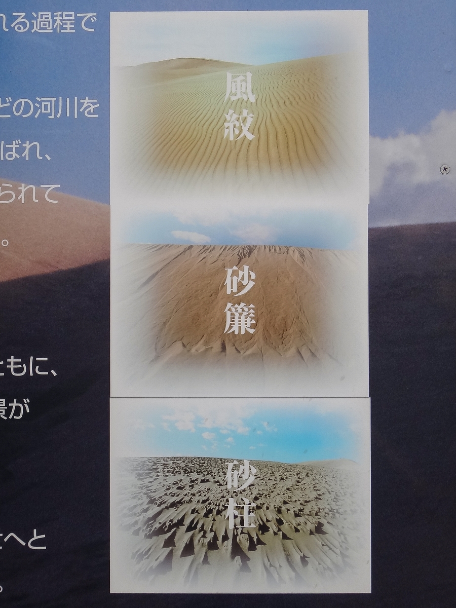 日本鳥取景點｜鳥取砂丘日本最大觀光沙丘，壯闊沙漠風情與無敵海景盡收眼底！