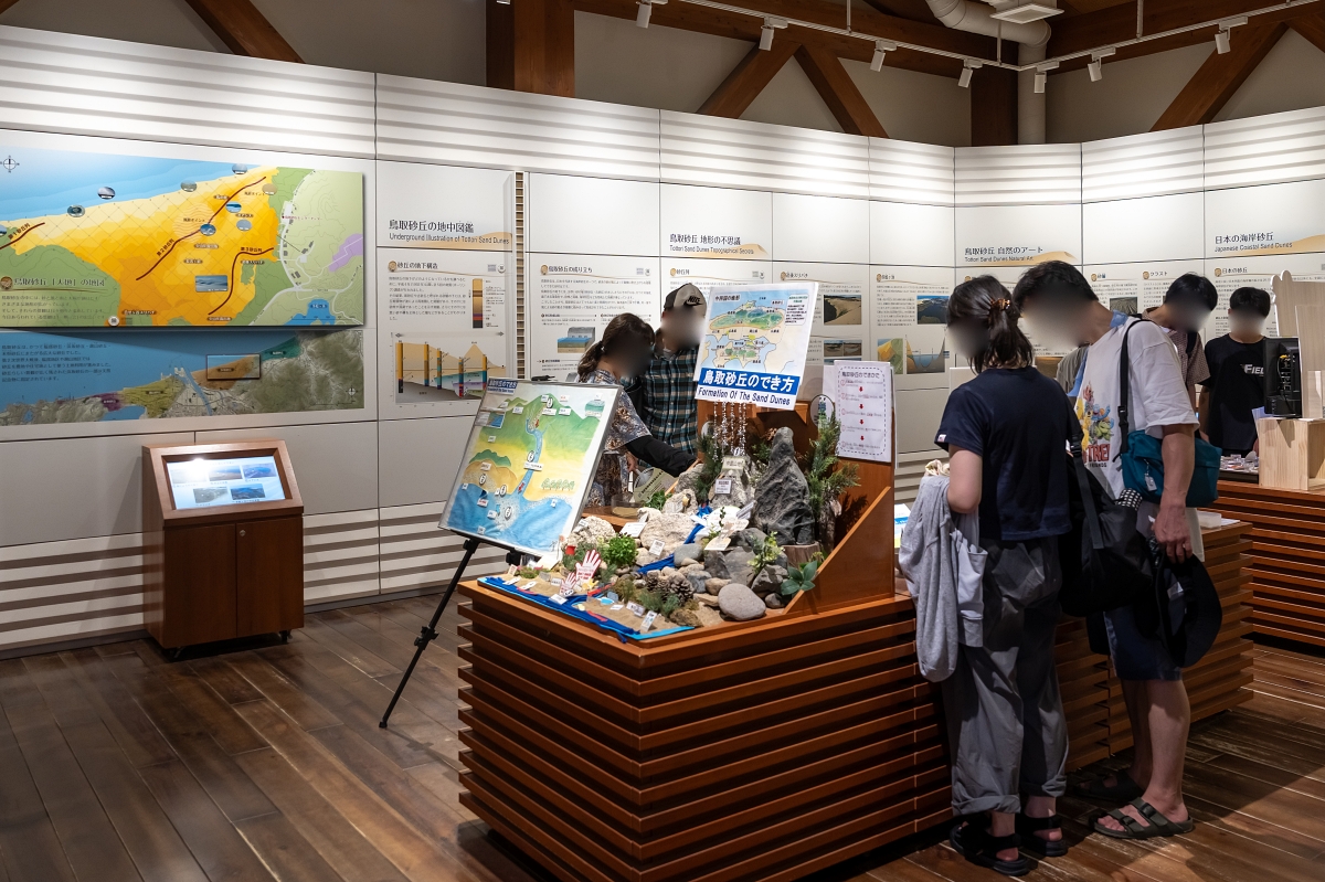 日本鳥取景點｜鳥取砂丘日本最大觀光沙丘，壯闊沙漠風情與無敵海景盡收眼底！