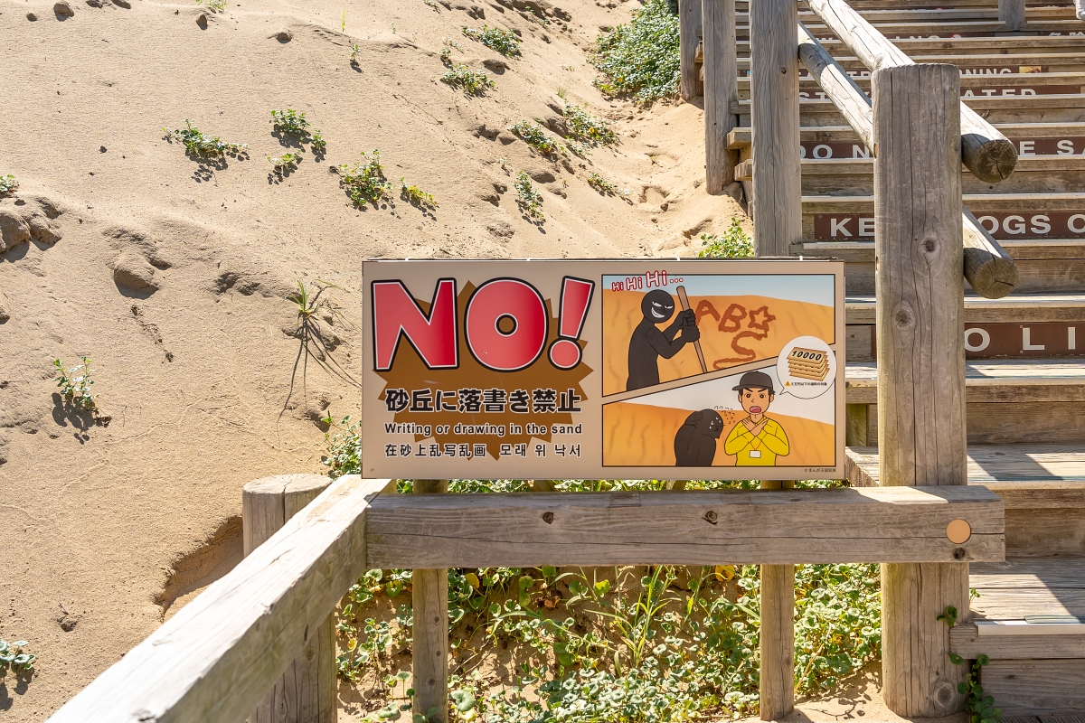 日本鳥取景點｜鳥取砂丘日本最大觀光沙丘，壯闊沙漠風情與無敵海景盡收眼底！