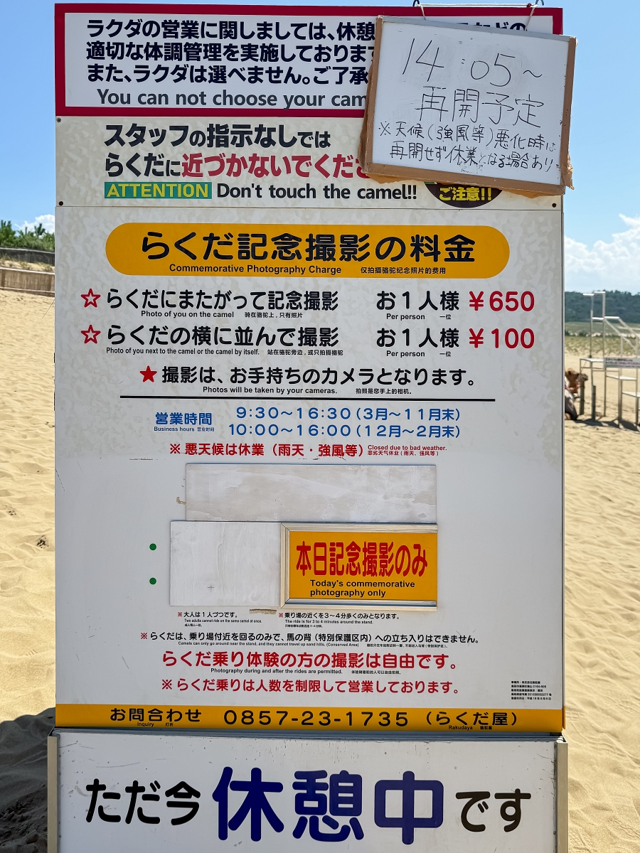 日本鳥取景點｜鳥取砂丘日本最大觀光沙丘，壯闊沙漠風情與無敵海景盡收眼底！