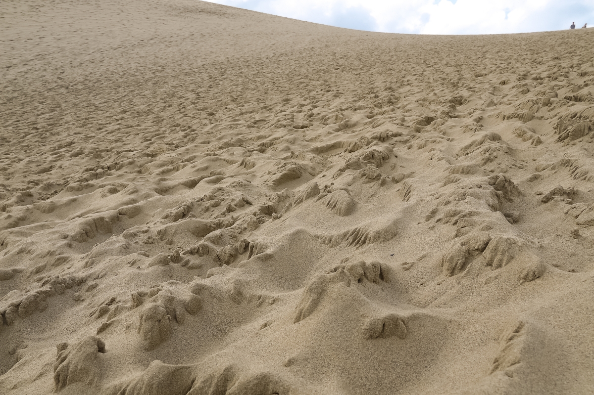 日本鳥取景點｜鳥取砂丘日本最大觀光沙丘，壯闊沙漠風情與無敵海景盡收眼底！