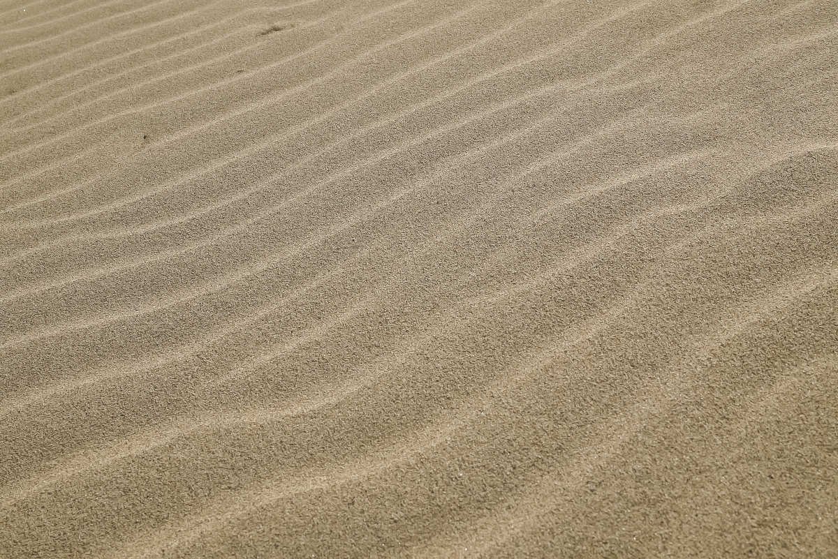 日本鳥取景點｜鳥取砂丘日本最大觀光沙丘，壯闊沙漠風情與無敵海景盡收眼底！
