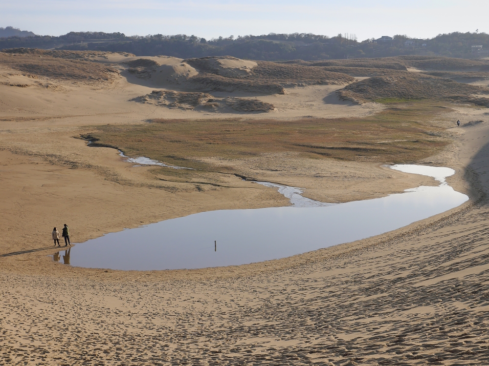 日本鳥取景點｜鳥取砂丘日本最大觀光沙丘，壯闊沙漠風情與無敵海景盡收眼底！