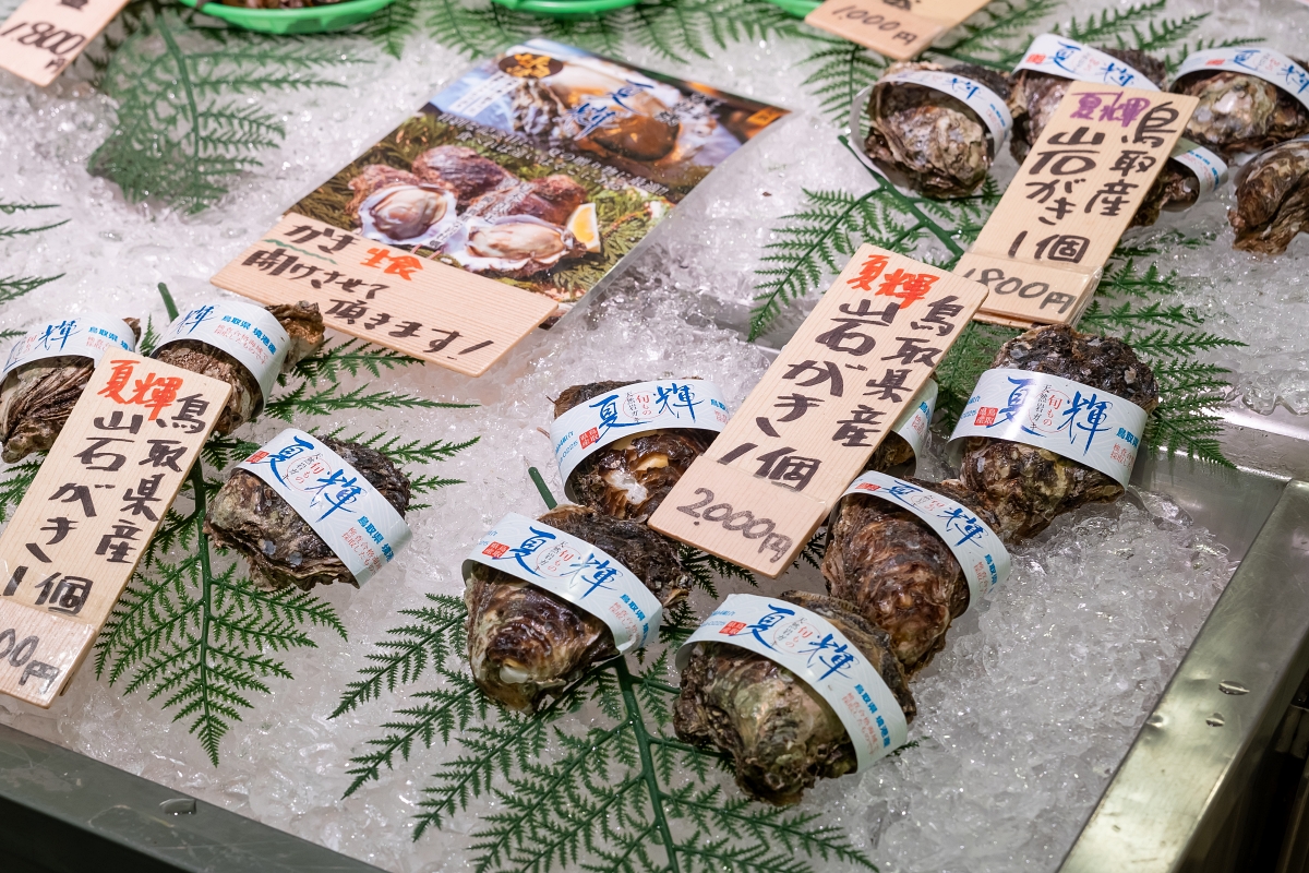 日本鳥取美食景點｜台灣虎航直飛米子機場交通接駁車班次&20個鳥取美食景點購物介紹(台灣鳥取直飛、台北桃園機場直飛米子鬼太郎空港、非鳥取柯南機場)