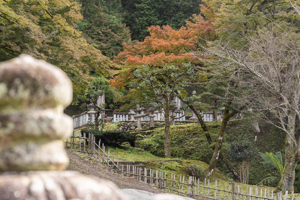 日本鳥取紅葉景點｜鳥取市紅葉秘境鳥取藩主池田家墓所，幽靜景色一年四季分明 (燈籠會、賞櫻、賞雪）